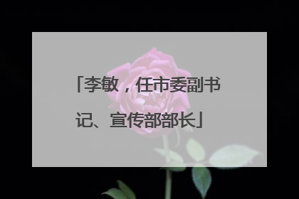 李敏，任市委副书记、宣传部部长