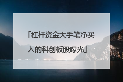 杠杆资金大手笔净买入的科创板股曝光