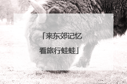 来东郊记忆 看旅行蛙蛙