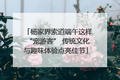 杨家界索道端午这样“宠游客” 传统文化与趣味体验点亮佳节