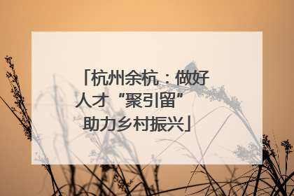 杭州余杭：做好人才“聚引留” 助力乡村振兴