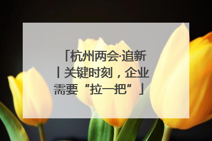 杭州两会·追新丨关键时刻，企业需要“拉一把”