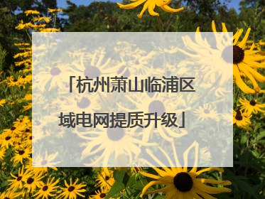 杭州萧山临浦区域电网提质升级