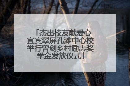 杰出校友献爱心 宜宾翠屏孔滩中心校举行曾剑乡村励志奖学金发放仪式