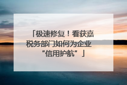 极速修复！看获嘉税务部门如何为企业“信用护航”