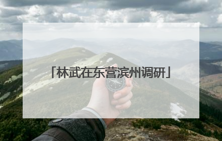 林武在东营滨州调研