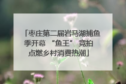 枣庄第二届岩马湖捕鱼季开幕 “鱼王” 竞拍点燃乡村消费热潮