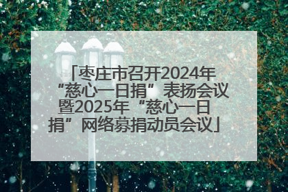 枣庄市召开2024年“慈心一日捐”表扬会议暨2025年“慈心一日捐”网络募捐动员会议