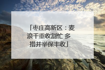 枣庄高新区：麦浪千重收割忙 多措并举保丰收