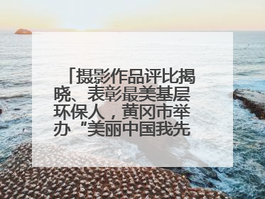 摄影作品评比揭晓、表彰最美基层环保人，黄冈市举办“美丽中国我先行”六五环境日主题宣传活动