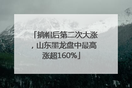 摘帽后第二次大涨，山东墨龙盘中最高涨超160%