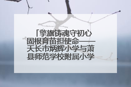擎旗铸魂守初心 固根育苗担使命——天长市炳辉小学与萧县师范学校附属小学结对共建活动纪实