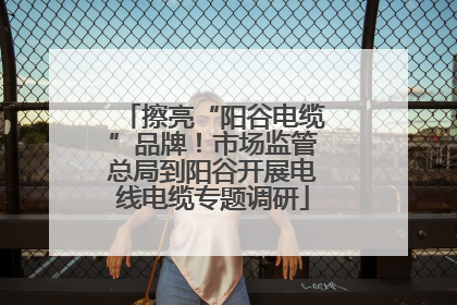 擦亮“阳谷电缆”品牌！市场监管总局到阳谷开展电线电缆专题调研