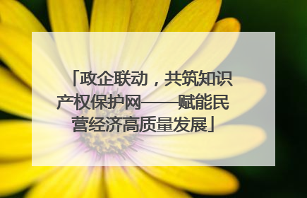 政企联动，共筑知识产权保护网——赋能民营经济高质量发展