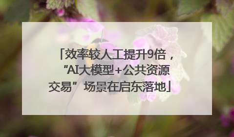 效率较人工提升9倍，“AI大模型+公共资源交易”场景在启东落地