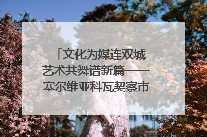 文化为媒连双城 艺术共舞谱新篇——塞尔维亚科瓦契察市代表团访问日照