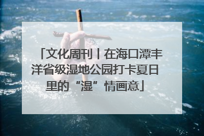 文化周刊丨在海口潭丰洋省级湿地公园打卡夏日里的“湿”情画意