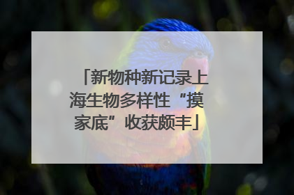 新物种新记录上海生物多样性“摸家底”收获颇丰