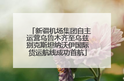 新疆机场集团自主运营乌鲁木齐至乌兹别克斯坦纳沃伊国际货运航线成功首航