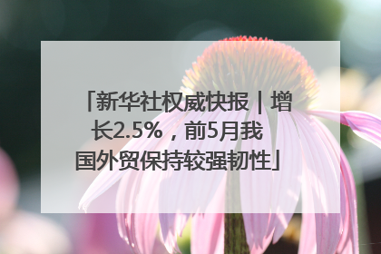 新华社权威快报｜增长2.5%，前5月我国外贸保持较强韧性