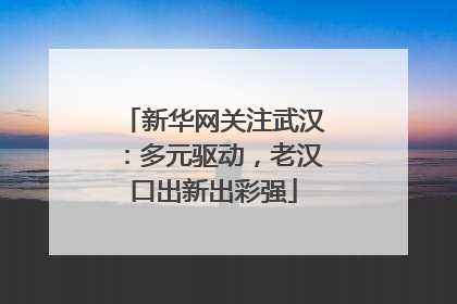 新华网关注武汉：多元驱动，老汉口出新出彩强
