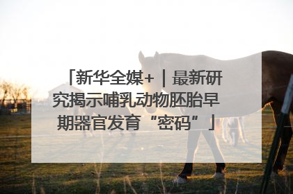 新华全媒+｜最新研究揭示哺乳动物胚胎早期器官发育“密码”