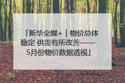 新华全媒+｜物价总体稳定 供需有所改善——5月份物价数据透视