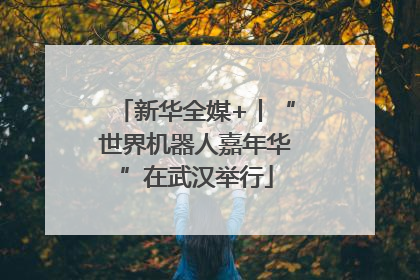 新华全媒+丨“世界机器人嘉年华”在武汉举行