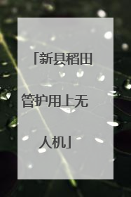 新县稻田管护用上无人机