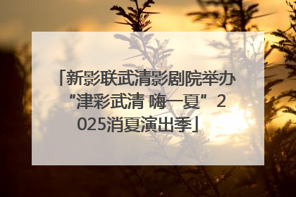新影联武清影剧院举办“津彩武清 嗨一夏”2025消夏演出季