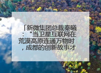 新微集团总裁秦曦：“当卫星互联网在荒漠高原连通万物时，成都的创新故事才真正开始”