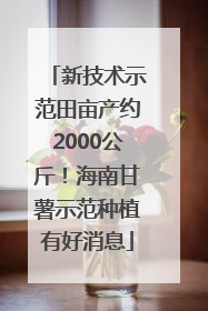 新技术示范田亩产约2000公斤！海南甘薯示范种植有好消息