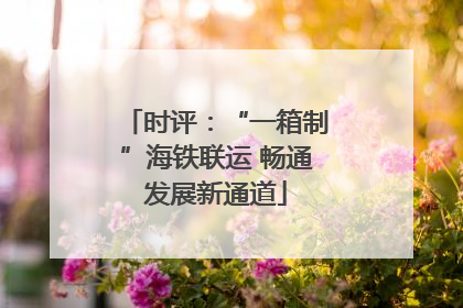 时评：“一箱制”海铁联运 畅通发展新通道