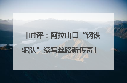 时评：阿拉山口“钢铁驼队”续写丝路新传奇