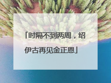 时隔不到两周，绍伊古再见金正恩