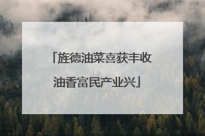 旌德油菜喜获丰收 油香富民产业兴
