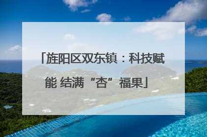 旌阳区双东镇：科技赋能 结满“杏”福果