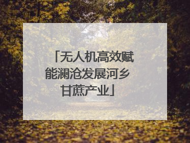 无人机高效赋能澜沧发展河乡甘蔗产业