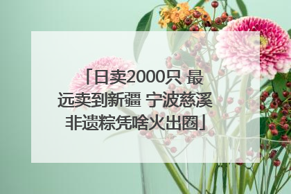日卖2000只 最远卖到新疆 宁波慈溪非遗粽凭啥火出圈