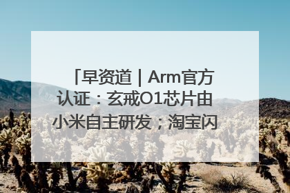 早资道｜Arm官方认证：玄戒O1芯片由小米自主研发；淘宝闪购联合饿了么日订单超4000万