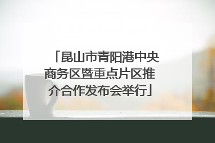 昆山市青阳港中央商务区暨重点片区推介合作发布会举行