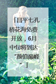 昌平七孔桥花海免费开放，6月中旬将到达“颜值巅峰”