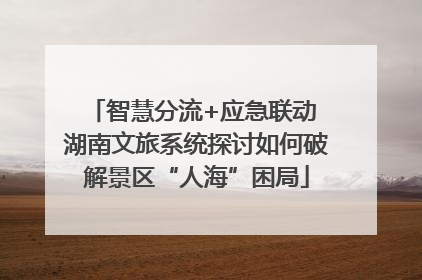 智慧分流+应急联动 湖南文旅系统探讨如何破解景区“人海”困局