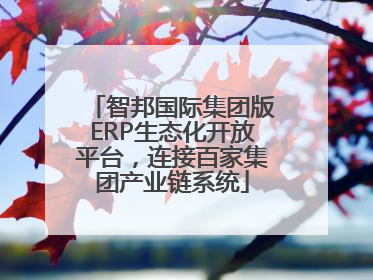 智邦国际集团版ERP生态化开放平台，连接百家集团产业链系统