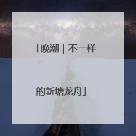 晚潮｜不一样的新塘龙舟