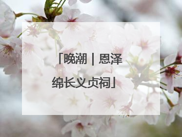 晚潮｜恩泽绵长义贞祠