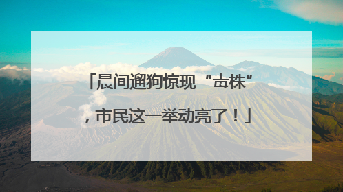 晨间遛狗惊现“毒株”，市民这一举动亮了！
