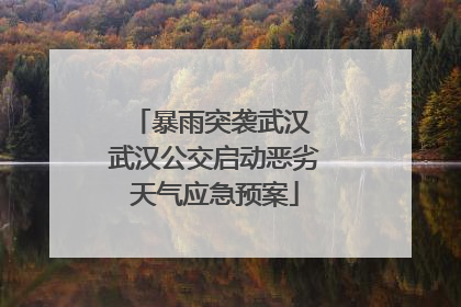 暴雨突袭武汉 武汉公交启动恶劣天气应急预案