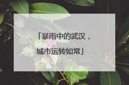 暴雨中的武汉，城市运转如常