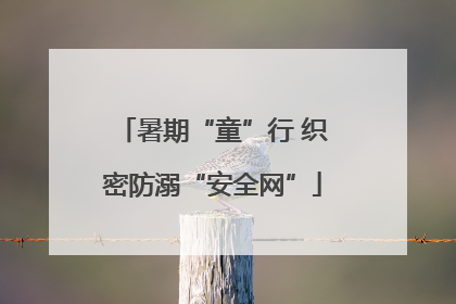 暑期“童”行 织密防溺“安全网”